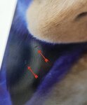 Disc thumbnail